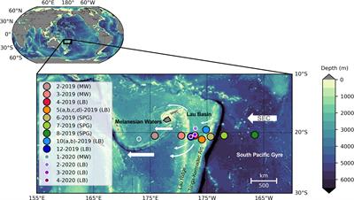 Quantifying N2 fixation and its contribution to export production near the Tonga-Kermadec Arc using nitrogen isotope budgets